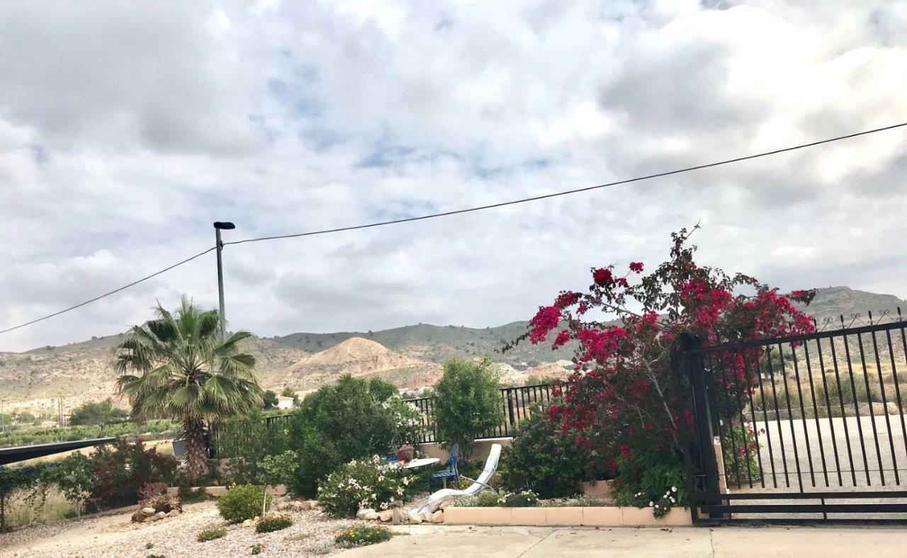 El Salado Casa Fletch Bed & Breakfast エクステリア 写真
